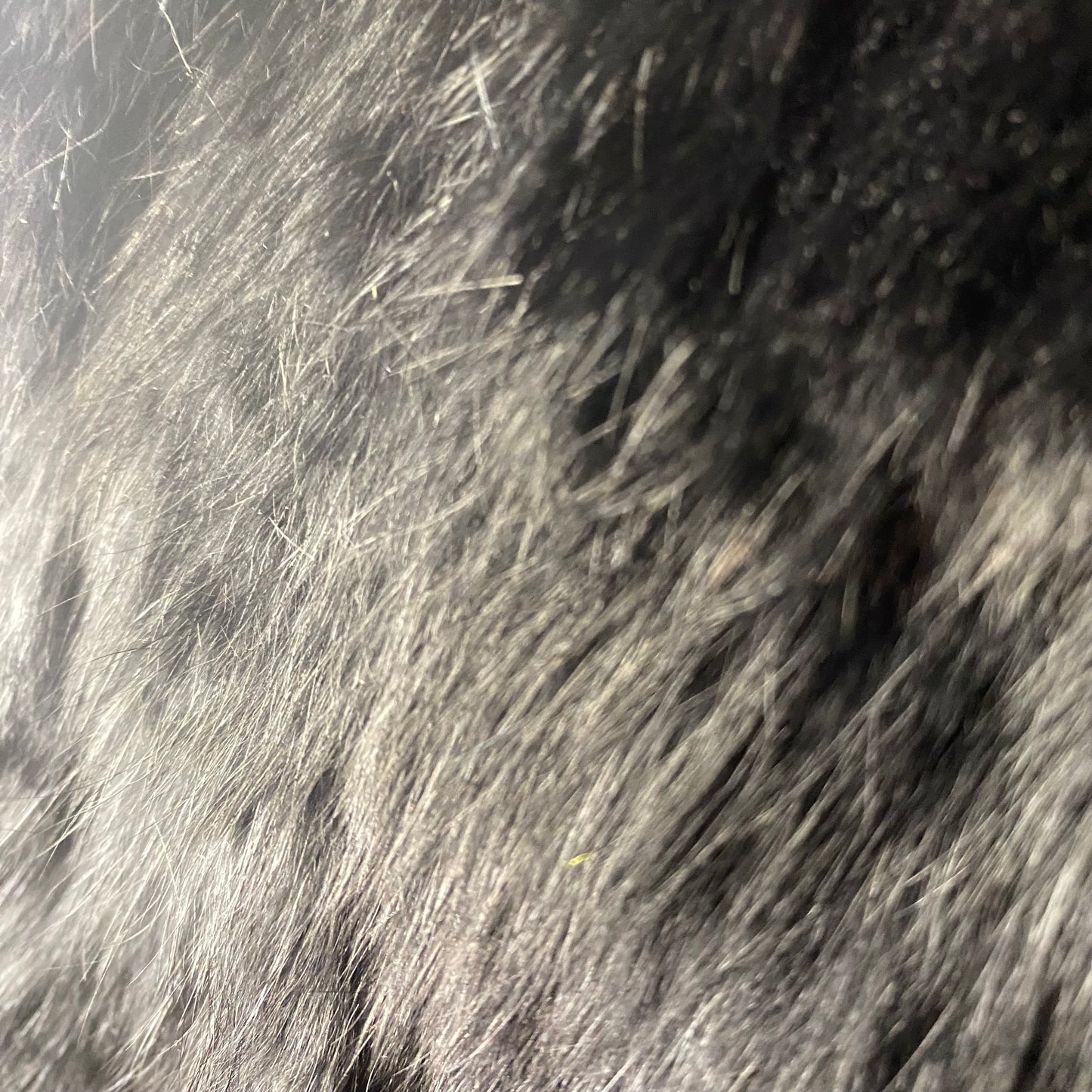 Gaudi faux fur jacket